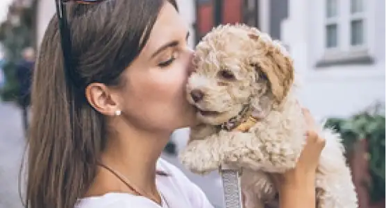 Cachorro bem cuidado e feliz após serviço pet da AuGo