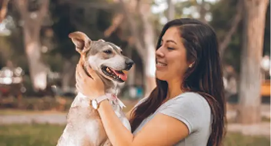 Cachorro bem cuidado e feliz após serviço pet da AuGo