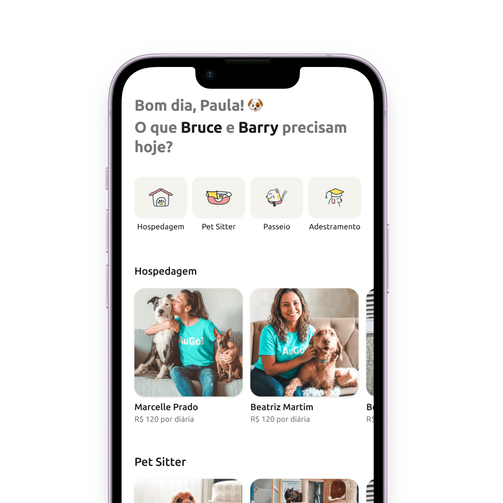 Tela do app AuGo com hospedagem, pet sitter, passeio, adestramento e perfis de profissionais.