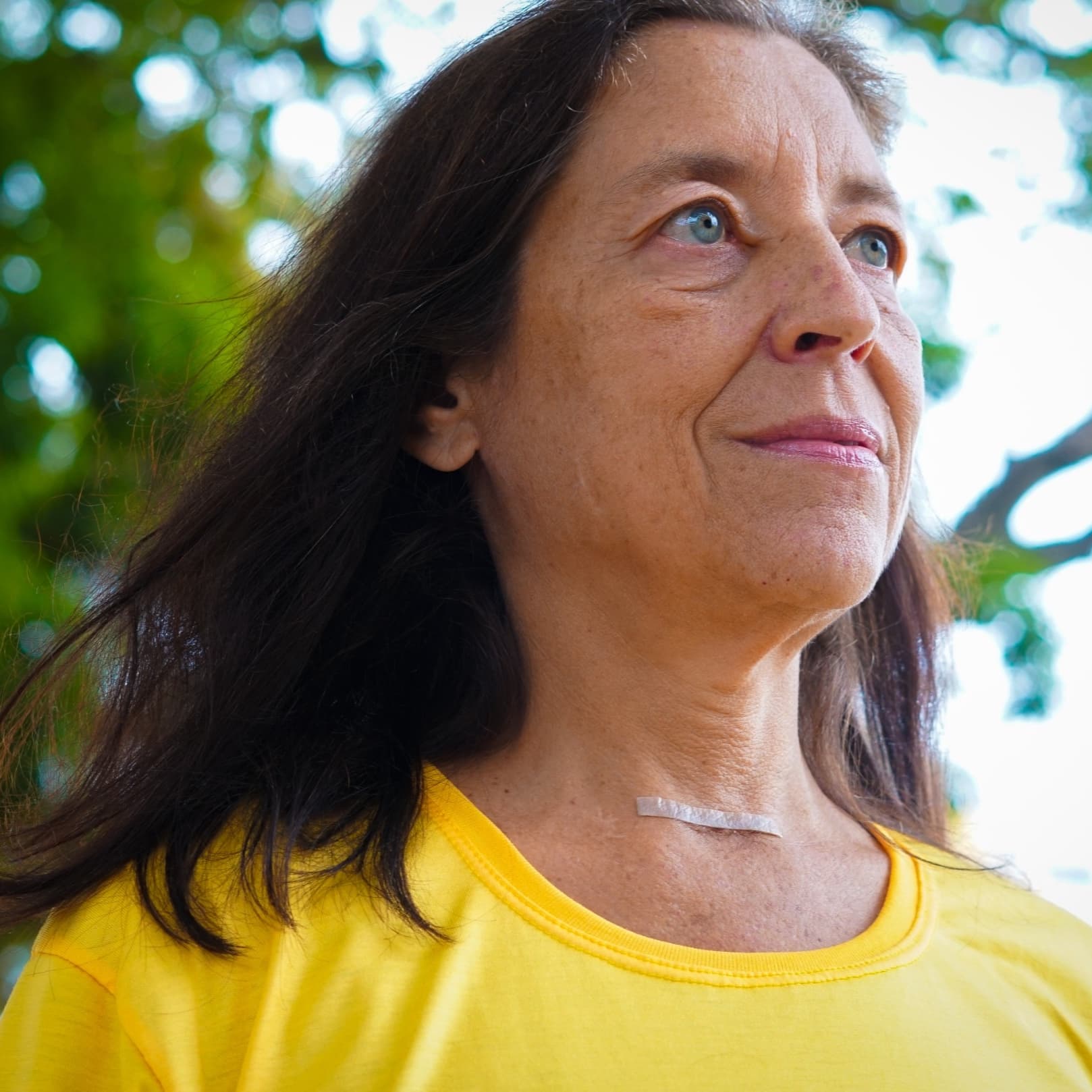 marta de oliveira fonterrada