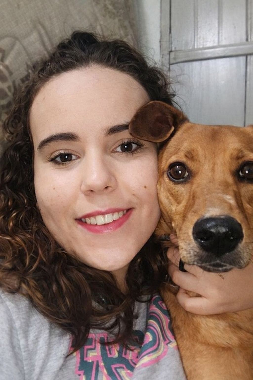 Trabalho de Isabela Rodrigues