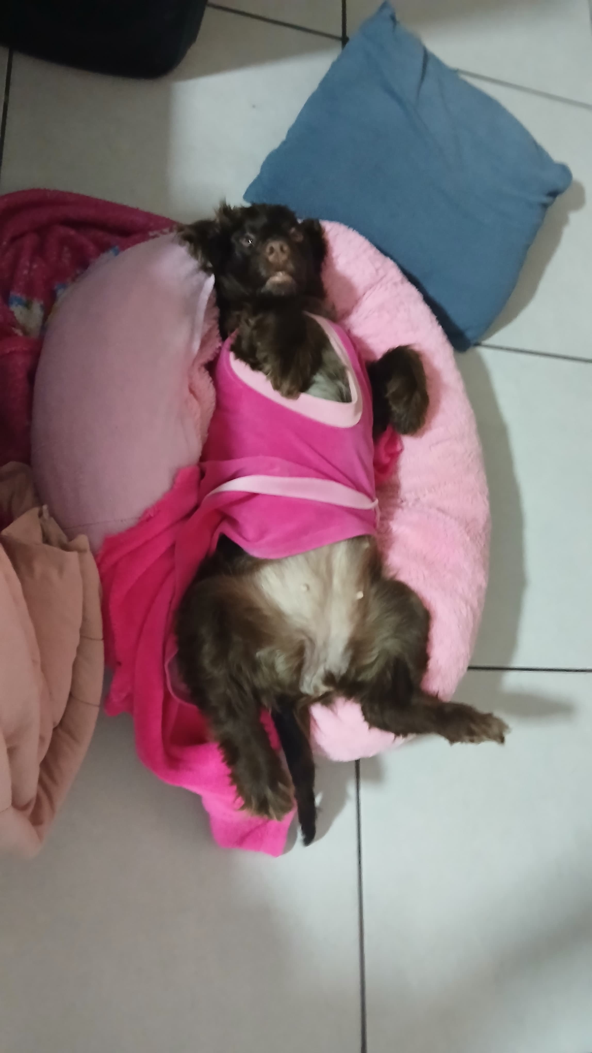 Trabalho de MARIA EDUARDA