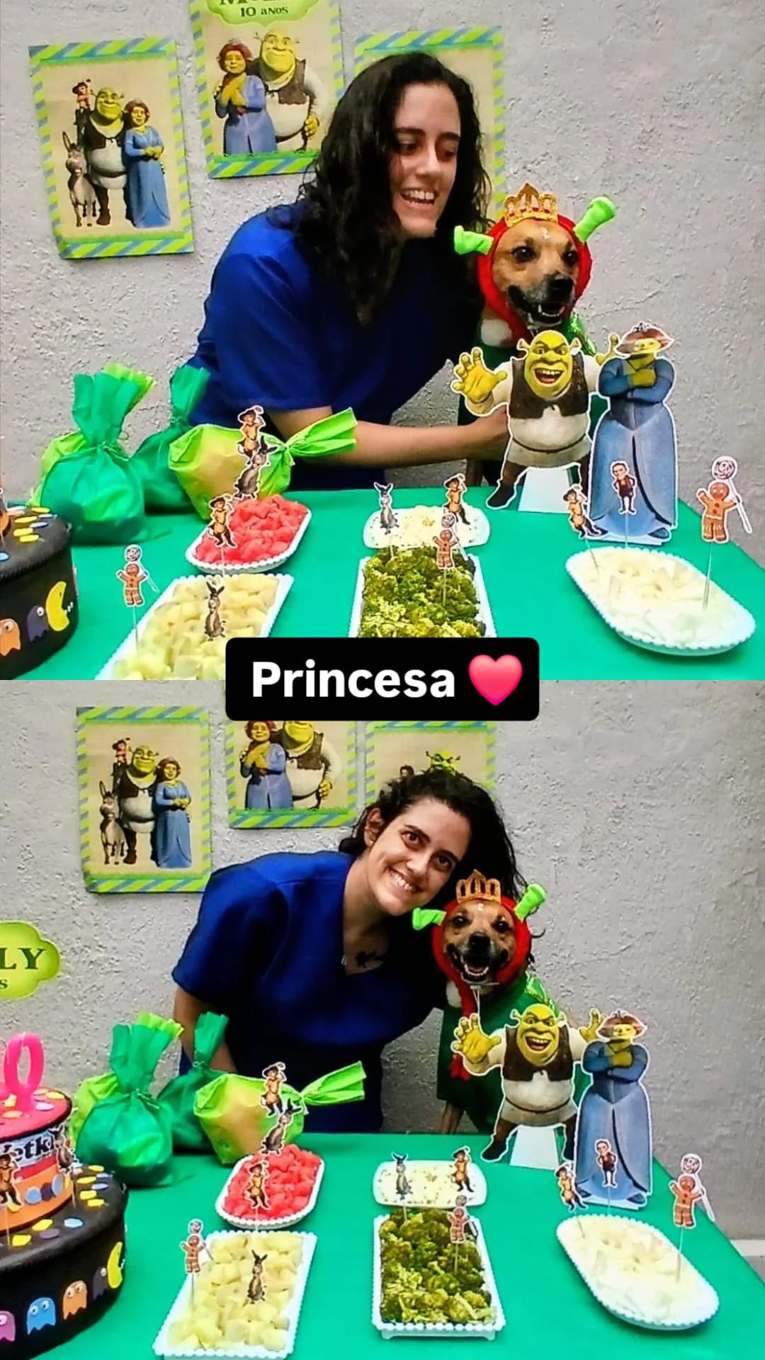 Trabalho de Bárbara Teixeira