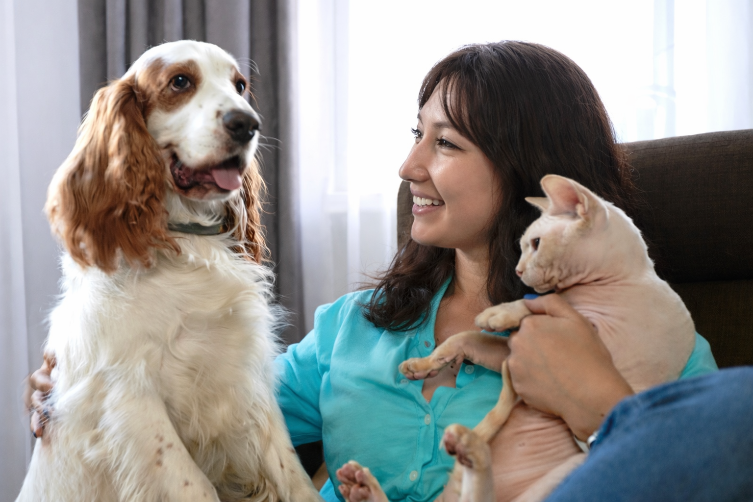 Pet sitter na Casa Verde